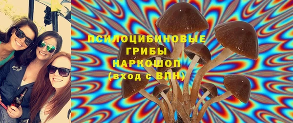 прущая мука Алзамай