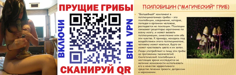 цены наркотик  Нефтекамск  Галлюциногенные грибы Magic Shrooms 