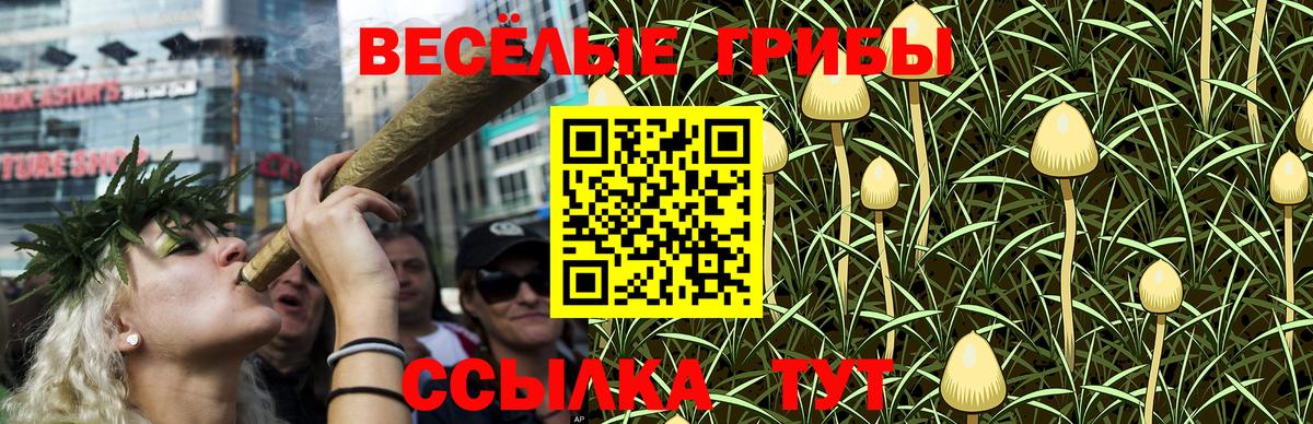 Галлюциногенные грибы MAGIC MUSHROOMS  Галлюциногенные грибы MAGIC MUSHROOMS  Нефтекамск  Вход с VPN 