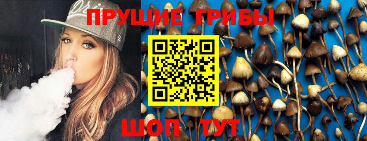 Галлюциногенные грибы Cubensis Нефтекамск